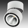 Светильник накладной LIGHTSTAR FORTE MURO 213850