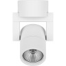 Светильник накладной LIGHTSTAR Illumo L1 51046